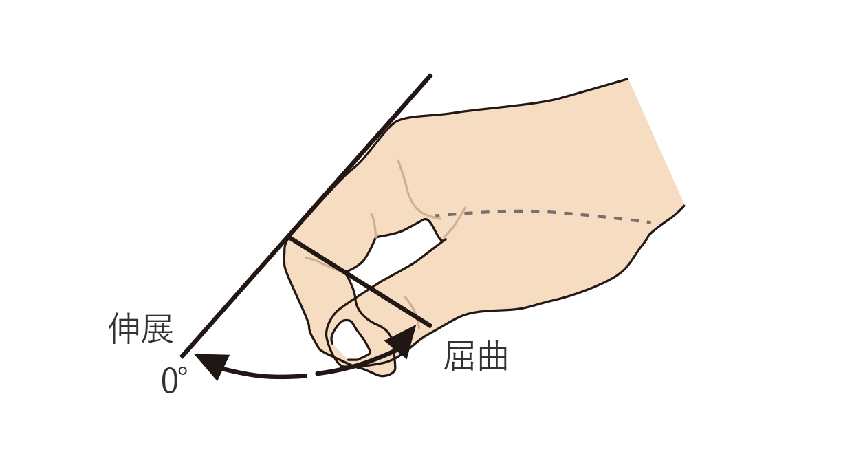 指の屈曲（PIP）と伸展（PIP）