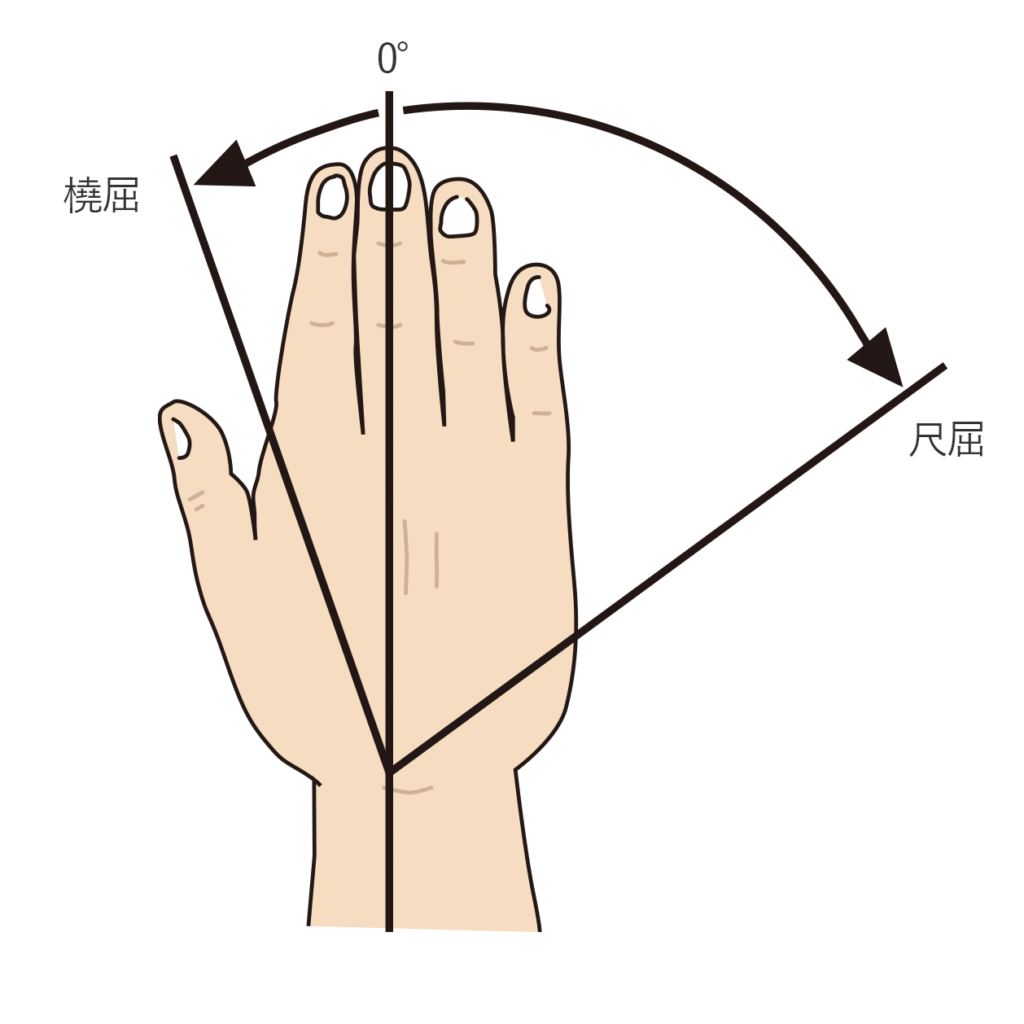 手の橈屈と尺屈