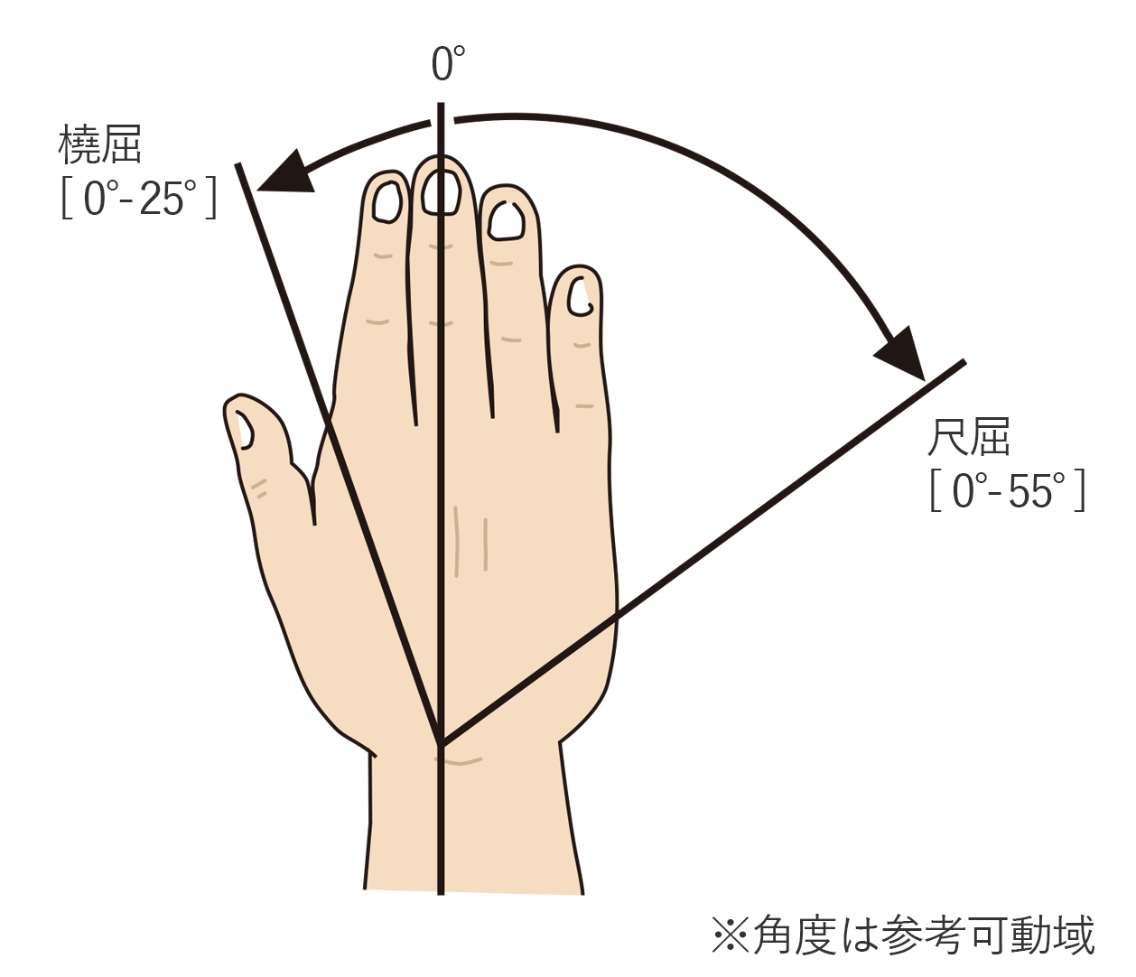 手の橈屈と尺屈