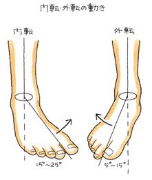 内転・外転の動き