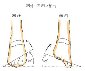 回外・回内の動き