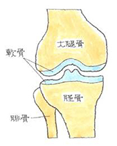 正常なもの