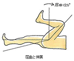 屈曲と伸展