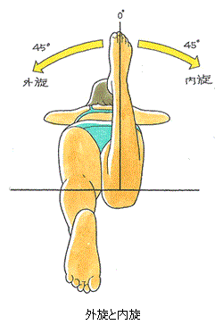 外旋と内旋