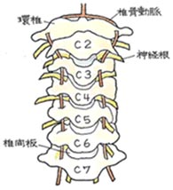 外傷性頸部症候群