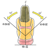 胸腰部の参考運動（側屈）